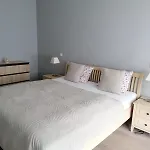 Central Druskininkai Apartment Daire *