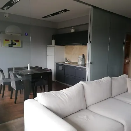 Central Druskininkai Apartment