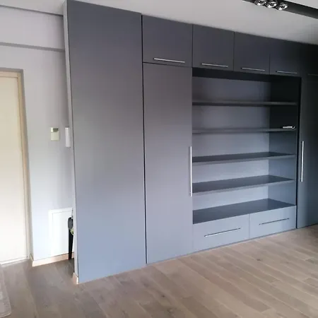 Central Druskininkai Apartment * Druskieniki