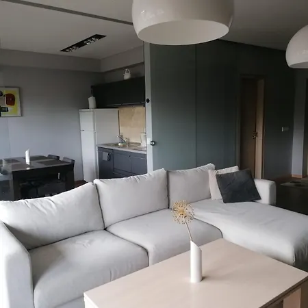 Apartament Central Druskininkai Apartment
