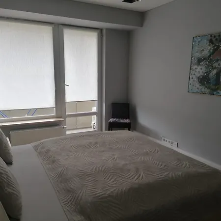 Central Druskininkai Apartment Daire Druskininkai