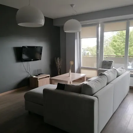 Central Druskininkai Apartment Druskieniki