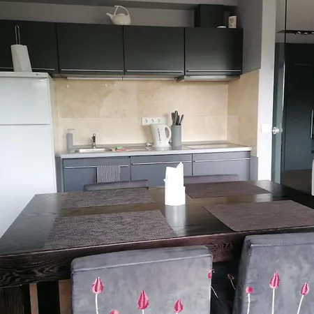 Daire Central Druskininkai Apartment *