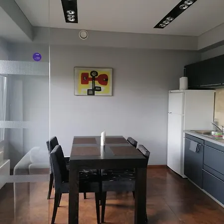 Central Druskininkai Apartment Daire *