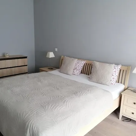 Central Druskininkai Apartment Apartament *