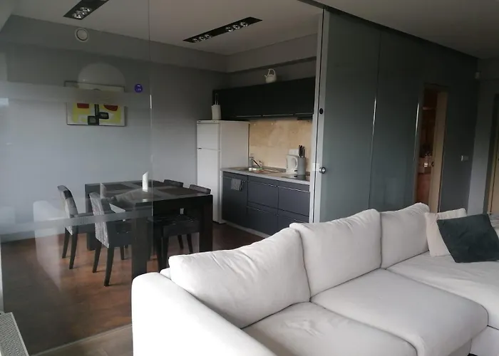 Central Druskininkai Apartment