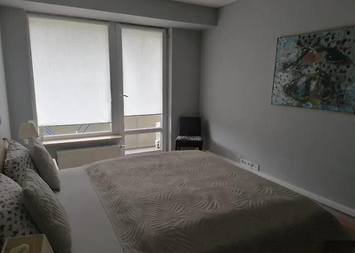 Central Druskininkai Apartment Daire Druskininkai