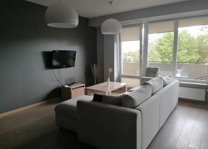 Central Druskininkai Apartment Druskininkai