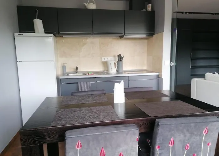 Daire Central Druskininkai Apartment *