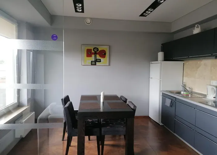 Central Druskininkai Apartment Daire *