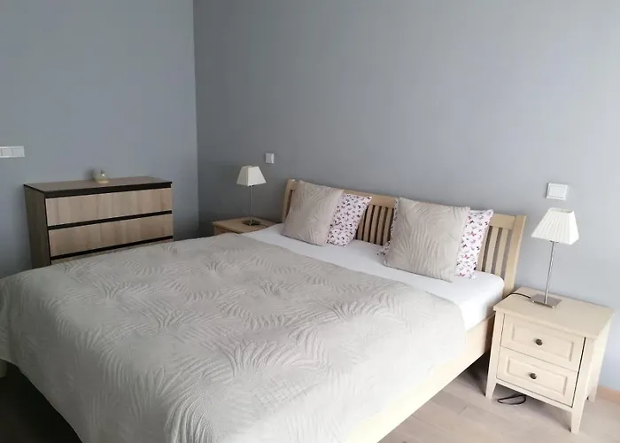 Central Druskininkai Apartment Daire *