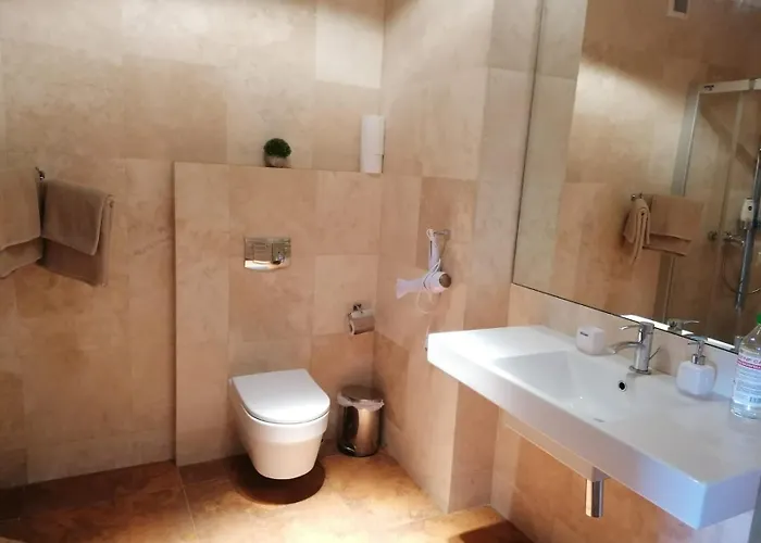 Central Druskininkai Apartment Druskininkai