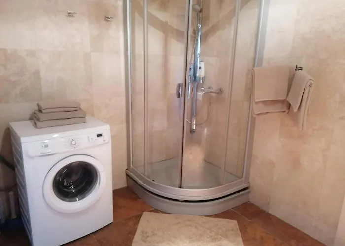 Daire Central Druskininkai Apartment